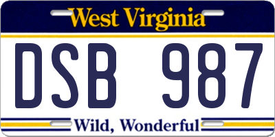 WV license plate DSB987