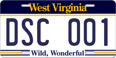 WV license plate DSC001