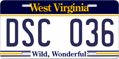 WV license plate DSC036