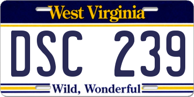 WV license plate DSC239