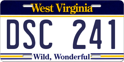 WV license plate DSC241