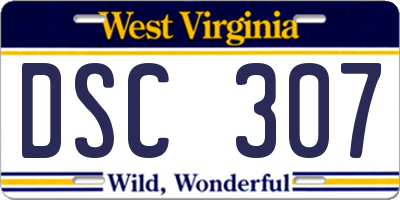 WV license plate DSC307
