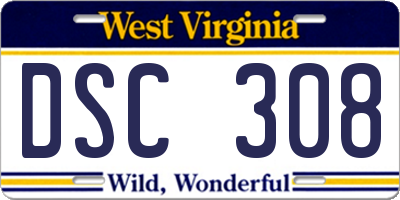 WV license plate DSC308