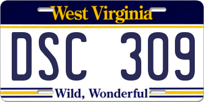 WV license plate DSC309