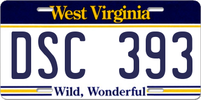 WV license plate DSC393