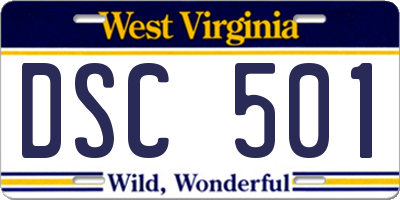 WV license plate DSC501