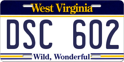WV license plate DSC602