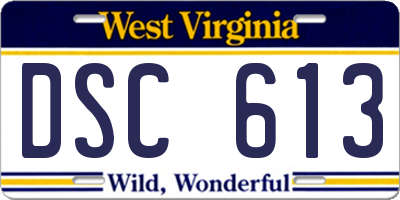 WV license plate DSC613