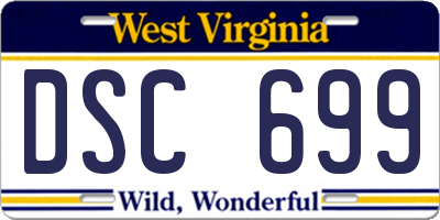 WV license plate DSC699