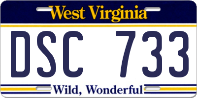WV license plate DSC733
