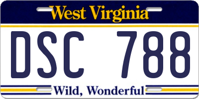 WV license plate DSC788