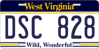 WV license plate DSC828