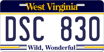 WV license plate DSC830