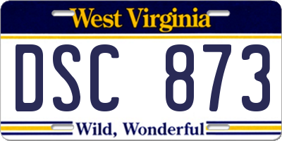 WV license plate DSC873