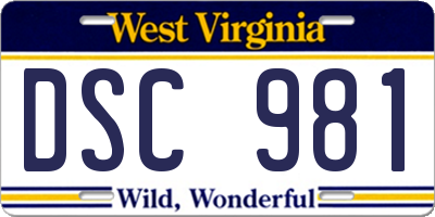 WV license plate DSC981
