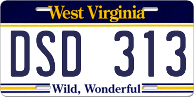 WV license plate DSD313