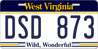 WV license plate DSD873