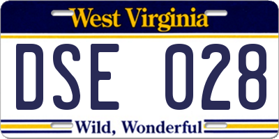 WV license plate DSE028