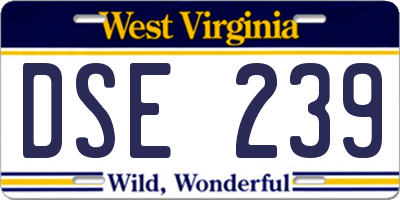 WV license plate DSE239