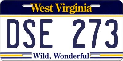 WV license plate DSE273