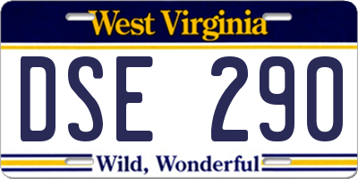 WV license plate DSE290