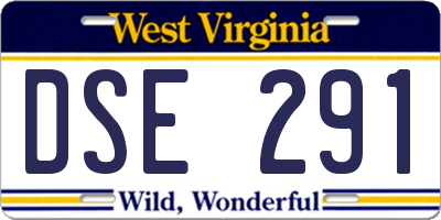 WV license plate DSE291