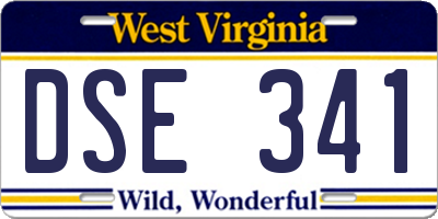 WV license plate DSE341