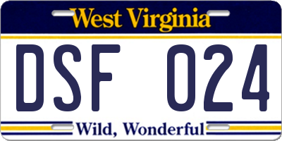 WV license plate DSF024