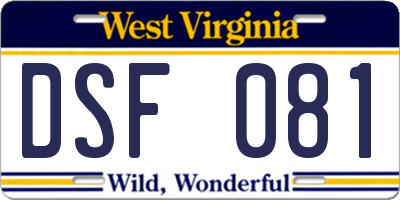 WV license plate DSF081