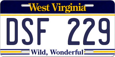 WV license plate DSF229