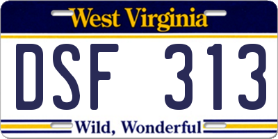WV license plate DSF313