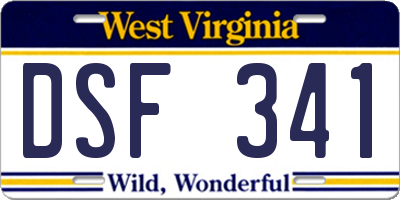 WV license plate DSF341