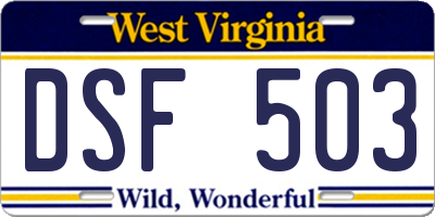 WV license plate DSF503