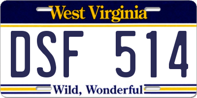 WV license plate DSF514
