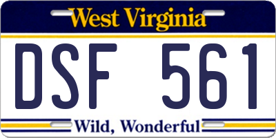 WV license plate DSF561
