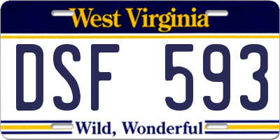 WV license plate DSF593