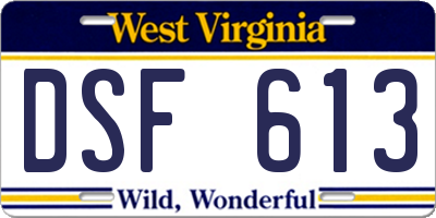 WV license plate DSF613
