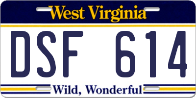 WV license plate DSF614