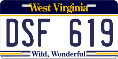 WV license plate DSF619