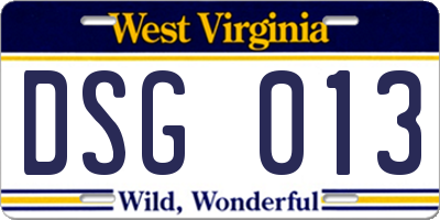 WV license plate DSG013