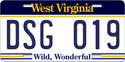 WV license plate DSG019