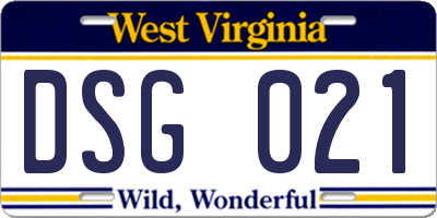 WV license plate DSG021