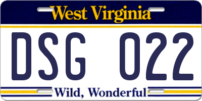 WV license plate DSG022