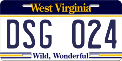 WV license plate DSG024