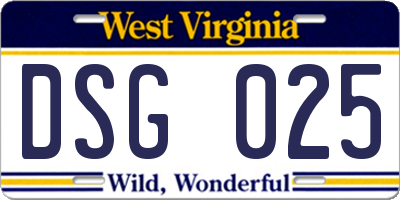 WV license plate DSG025