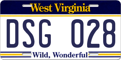 WV license plate DSG028
