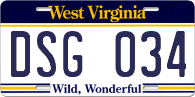 WV license plate DSG034