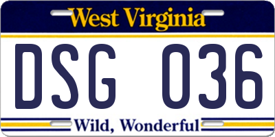 WV license plate DSG036