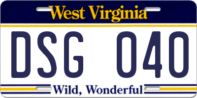 WV license plate DSG040