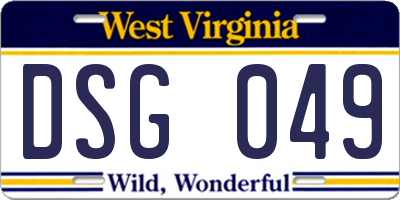 WV license plate DSG049